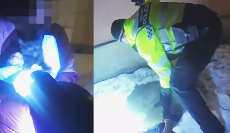 VIDEO: Mňoukání přivolalo pomoc. Ostravští strážníci zachraňovali kotě z kanálu