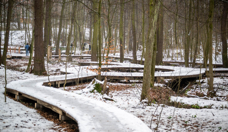 Relax mezi tůněmi. Bělský les láká novými povalovými chodníky v délce 566 metrů