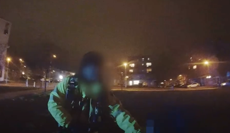 Opilec si ustlal v parku i se psem. Zvíře vzala domů matka, syna poslala na záchytku