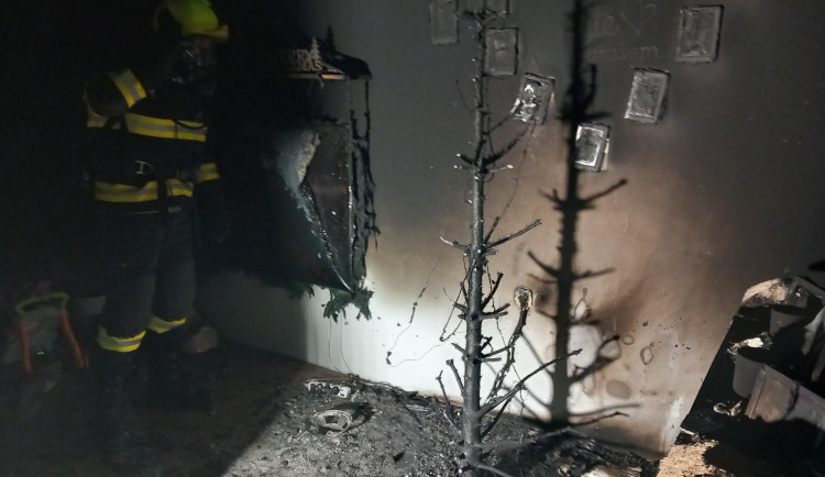 Na Štědrý den vzplály stromky dvěma jihomoravským rodinám. Na vině byly prskavky