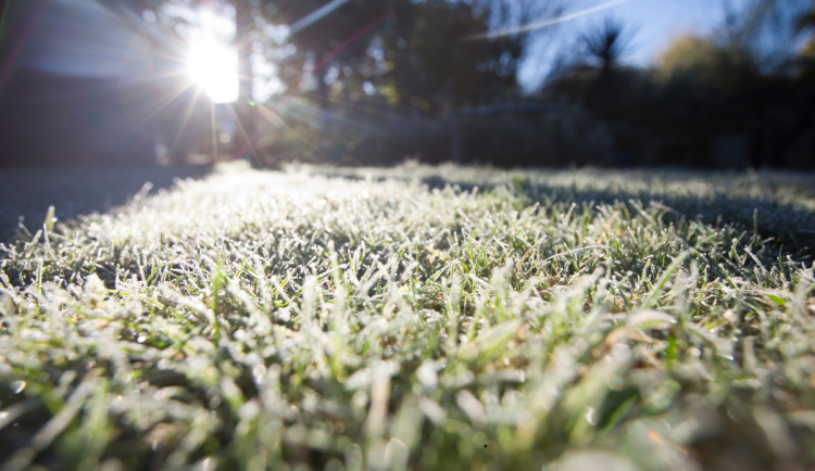 Na přelomu roku bude v Libereckém kraji mrznout. Přidají se i sněhové přeháňky