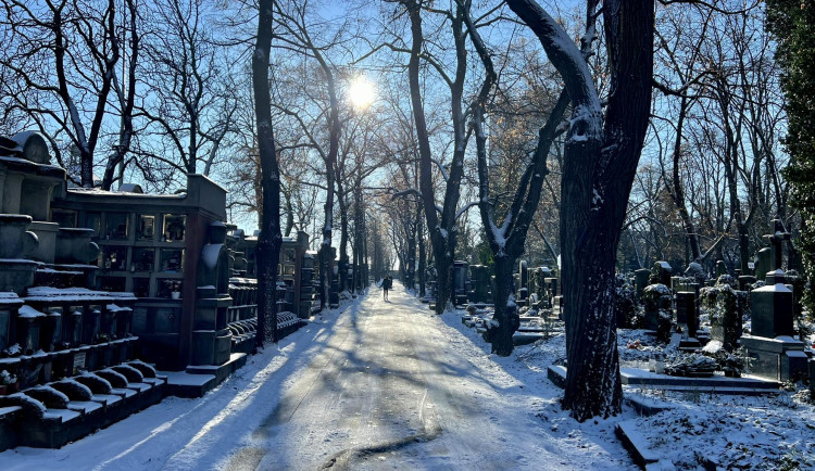 Ať se nezrakvíte. Pražské hřbitovy byly kvůli náledí zavřeny