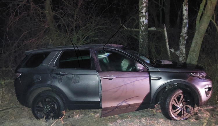 Řidič Land Roveru po smyku narazil do stromu, od policistů dostal pokutu