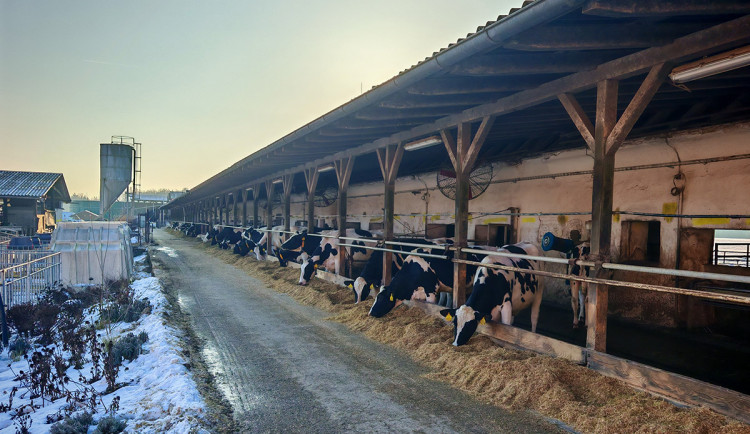 Kvanta zmrzliny a zážitky nejen pro děti. Oblíbený statek na Hané chystá novinky