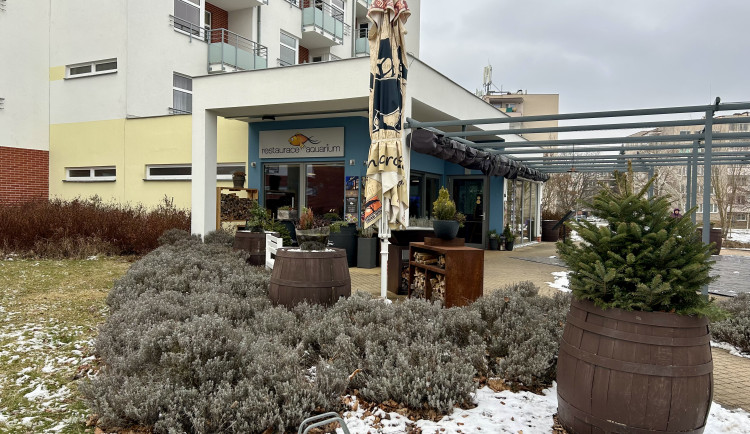 Hradec Králové boduje v prestižních gastronomických průvodcích