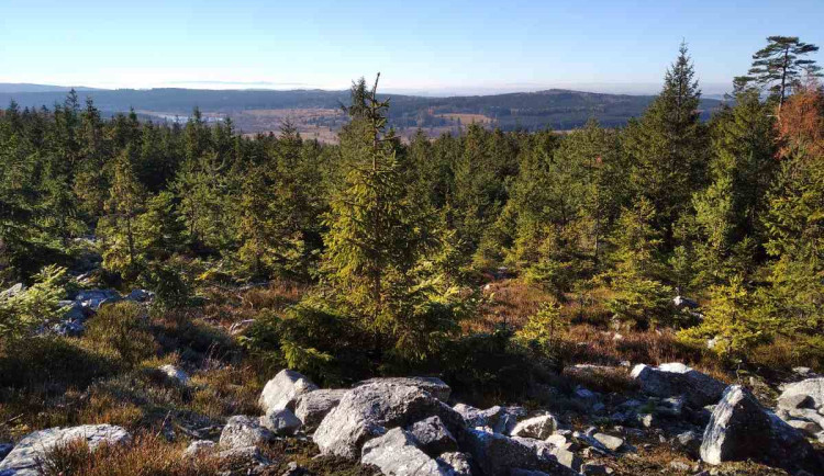 Kočka v CHKO Brdy klame tělem. Hluboko pod zemí je jedinečné naleziště zkamenělin