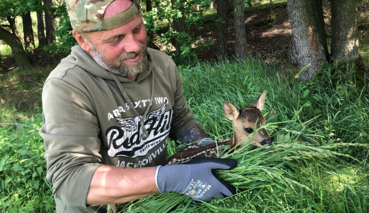 Loni spolek zachránil 661 srnčat před sekačkou. Do terénu vyrazí i letos
