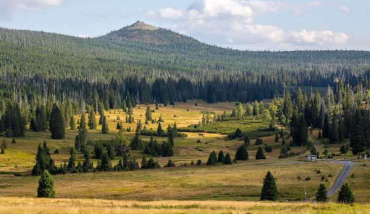 Otevření Modrého sloupu znovu posoudí Správa Národního parku Šumava
