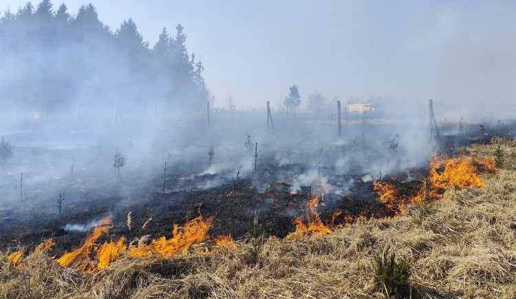 FOTO: Rozsáhlý požár lesa u Věžničky. Hasiči bojovali s ohněm na čtyřech hektarech