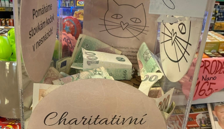 Brněnský kočičí spolek hledá zloděje, který ukradl peněžní sbírku v Ostravě