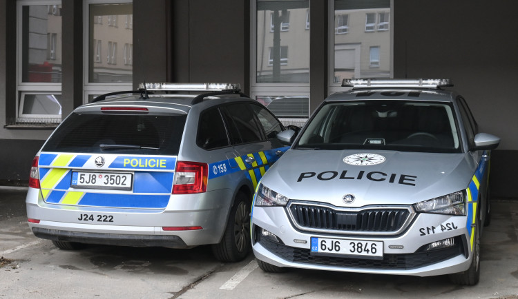 Neobvyklá krádež: Policie hledá, kdo pokácel a odvezl tři vzrostlé stromy