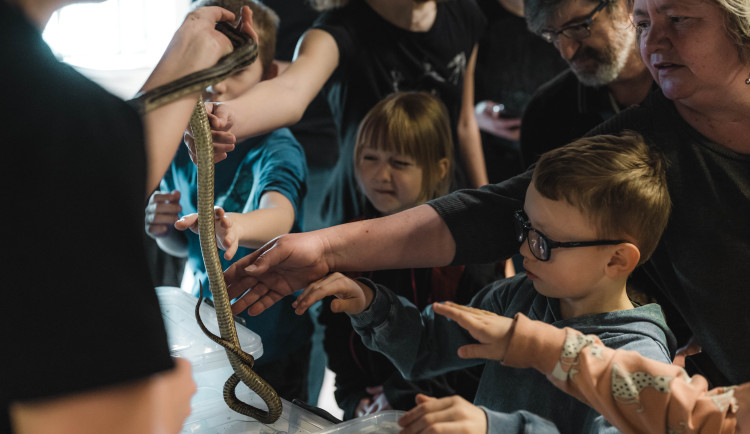 Odpudiví i kouzelní tvorové, jak v přírodě přežívají? Pevnost poznání nabízí unikátní víkend