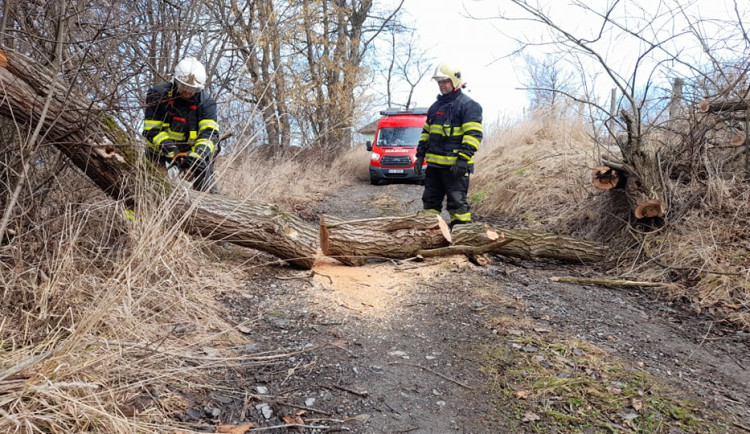 Olomoucký kraj dnes čeká silný vítr. Také víkend bude škaredý, zataženo a přeháňky
