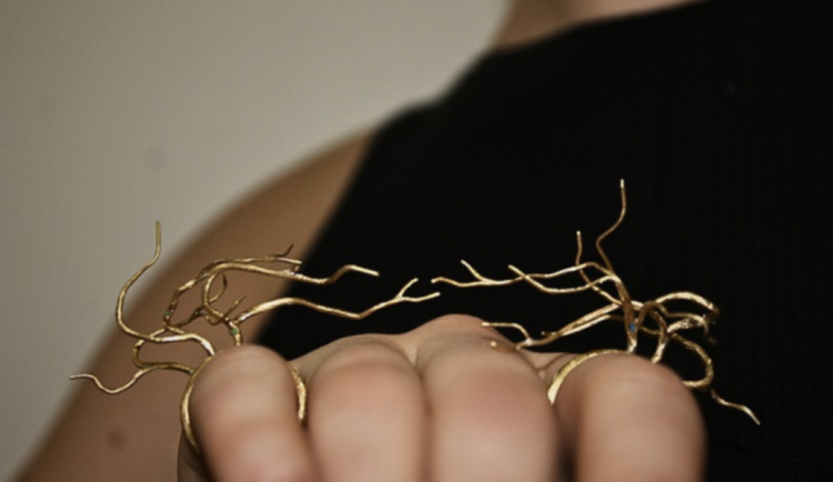 Studenti uměleckých škol z Libereckého kraje uspěli na soutěži Teendesign