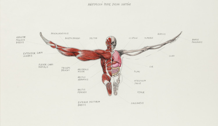 Liberecká galerie odstartovala dvě výstavy, jedna ukazuje laboratoř bláznivých nápadů