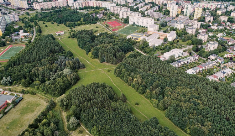 Oblíbený lesopark na Moravském Předměstí prošel probírkou, má rovněž nové cesty a lavičky