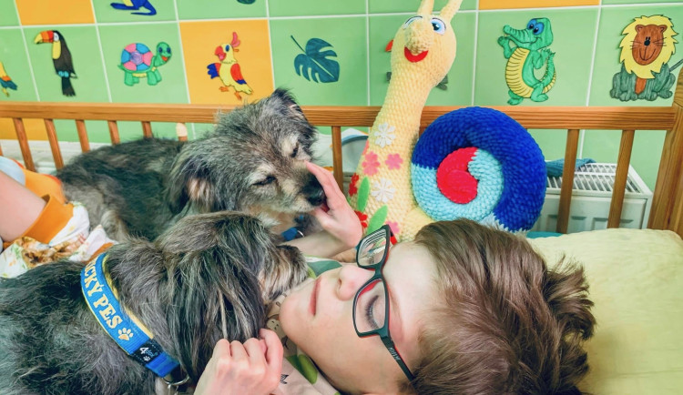 Canisterapie pomáhá zlepšovat psychickou i fyzickou pohodu klientů