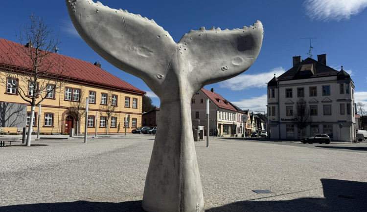 ANKETA: Ocas velryby na vrchlabském náměstí vzbuzuje různé druhy emocí