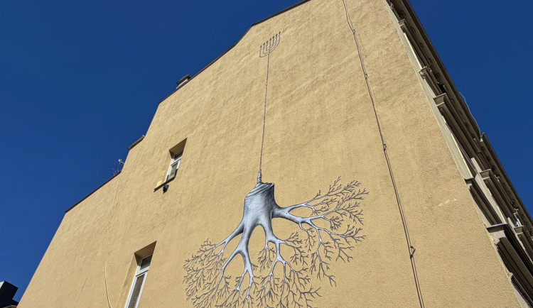 Pouliční umělec zkrášlil centrum Brna, jeho mural připomíná Velkou synagogu