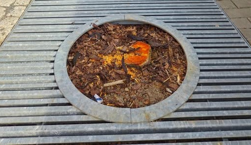 Kácení mladých stromů na náplavce vzbudilo bouři. Měly plíseň, vysadíme nové, slíbilo město