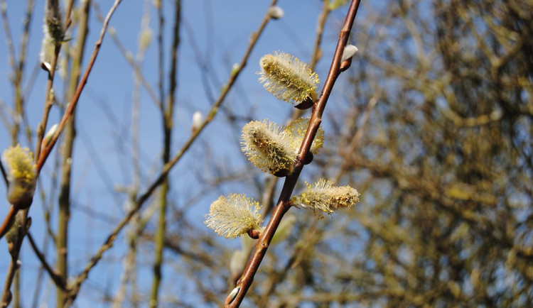 Sobota nabídne letní počasí, v neděli se opět ochladí