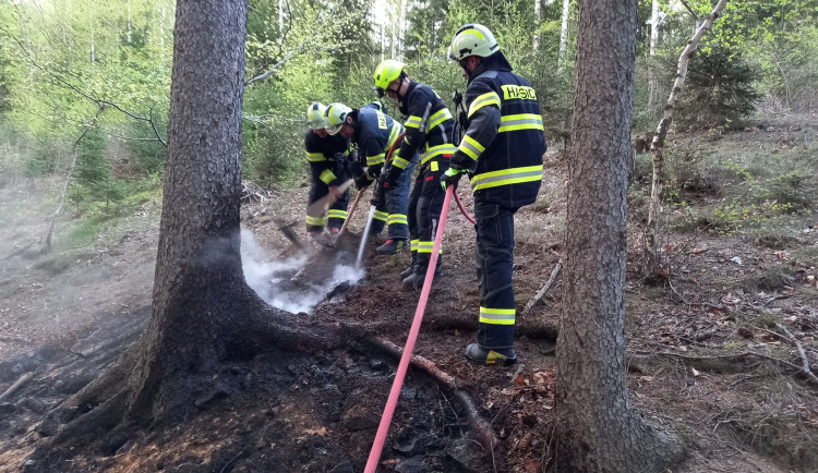 Hasiči trénovali v hradeckých lesích, mezitím stihli reálný zásah v Machově