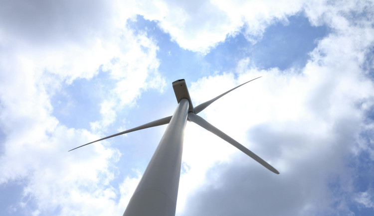 Ilustrační foto. Foto: pexels.com