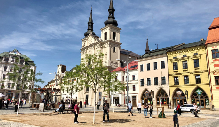 ANKETA: Exotické jerlíny na jihlavském náměstí mají za sebou další zimu. Jak ji zvládly?