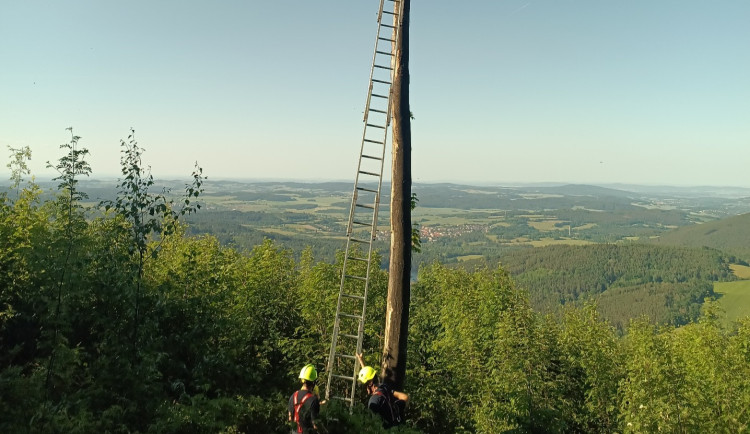 Paraglidista uvízl na stromě v nepřístupném terénu. Hasiči ho zachraňovali dvě hodiny