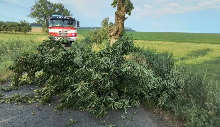 Vysočinu zasáhly další bouřky, padaly stromy. Domácnosti byly bez elektřiny