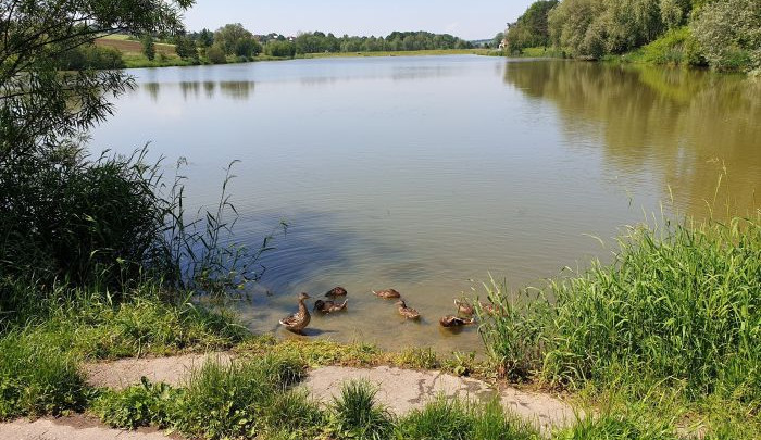 Baška a Brušperk mají zhoršenou kvalitu vody. Kde se koupat bezpečně?