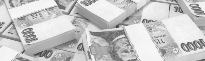 Proč strašidlo privatizace stále obchází devadesátky