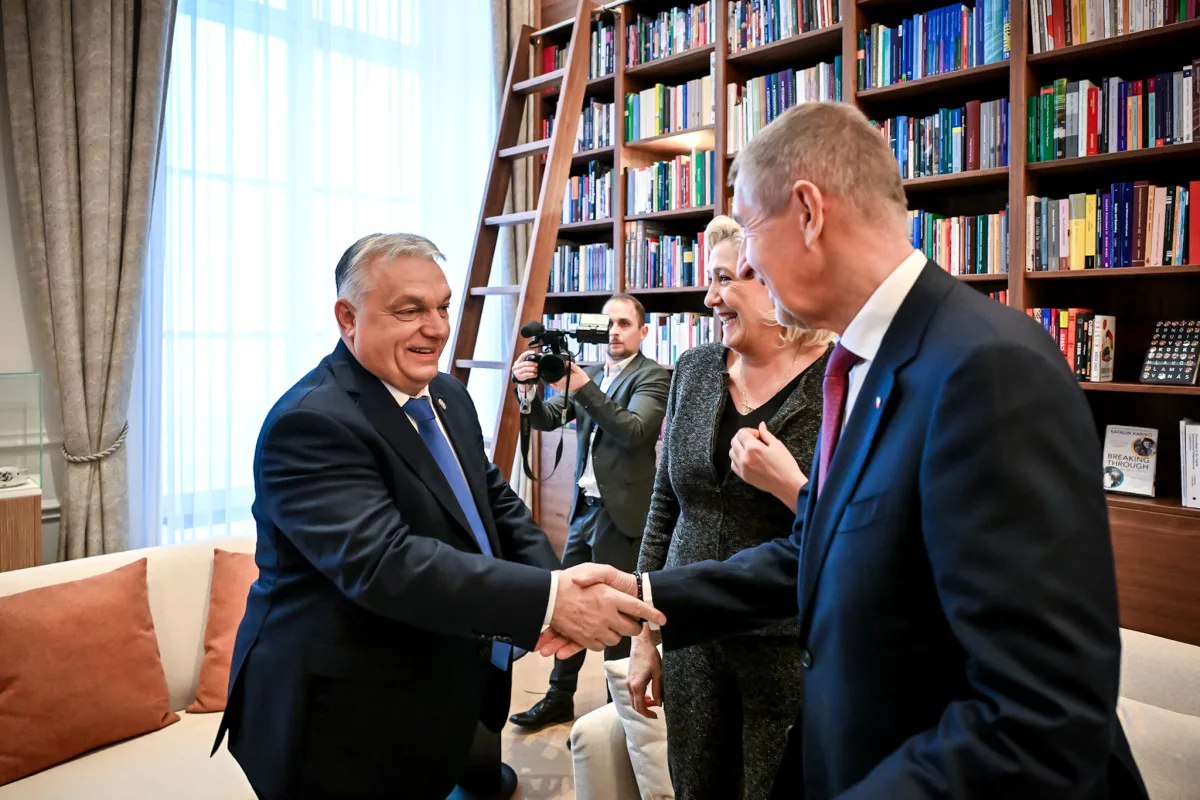 www.macciani.cz