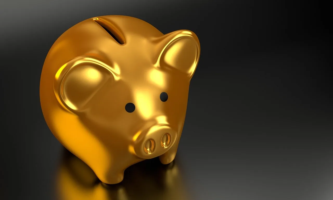 Češi berou penzi do vlastních rukou. Investování láká, zájem o DIP roste