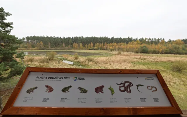 Firmy se mohou zapojit do eko projektu, první pomohl rozšířit Janovský mokřad, kde žijí pratuři a exmoorské pony