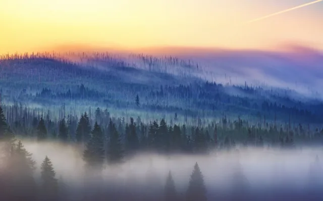 NP Šumava je krůček od nejvyšší světové ligy, ohrozit to ale může novela zákona