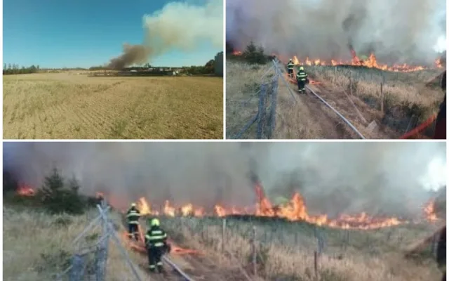 U Studence na Třebíčsku likvidovali hasiči požár lesa. Rychle se šířil kvůli suchu
