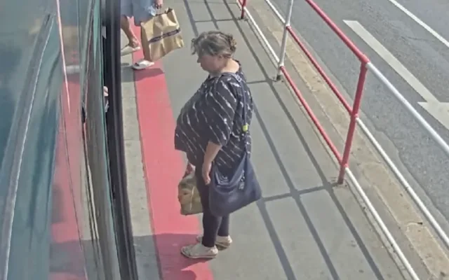 Krutá smrt. Žena nechala ve vedrech v obchodě box s hlodavci, všichni zemřeli