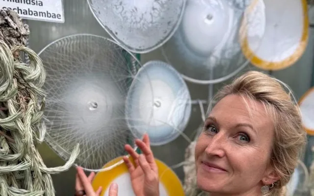 Největší festival skla i v botanické: Fascinující výstava startuje dnes večer