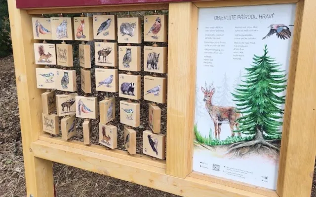 Klatovský les Hůrka láká na nové prvky. Zabaví rodiny i seniory