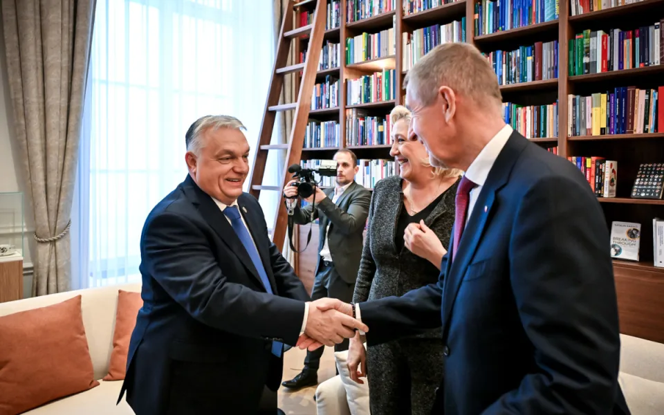 www.macciani.cz