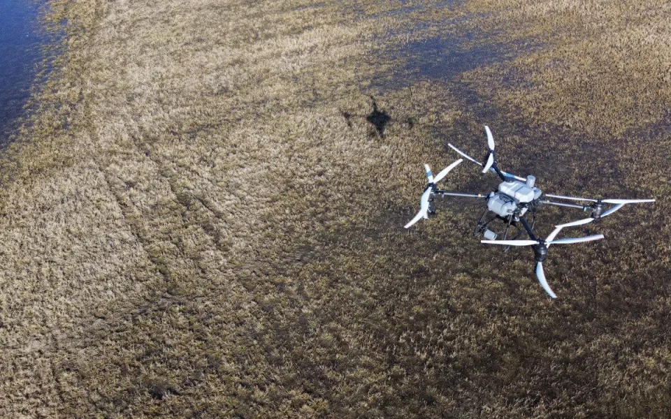 Drony versus komáři. Vědci vylepší monitoring otravného hmyzu v Litovelském Pomoraví