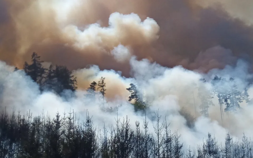 Na Strakonicku hoří les, hasiči vyhlásili druhý stupeň poplachu